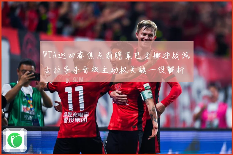 WTA巡回赛焦点前瞻莱巴金娜迎战佩古拉争夺晋级主动权关键一役解析-深度解析