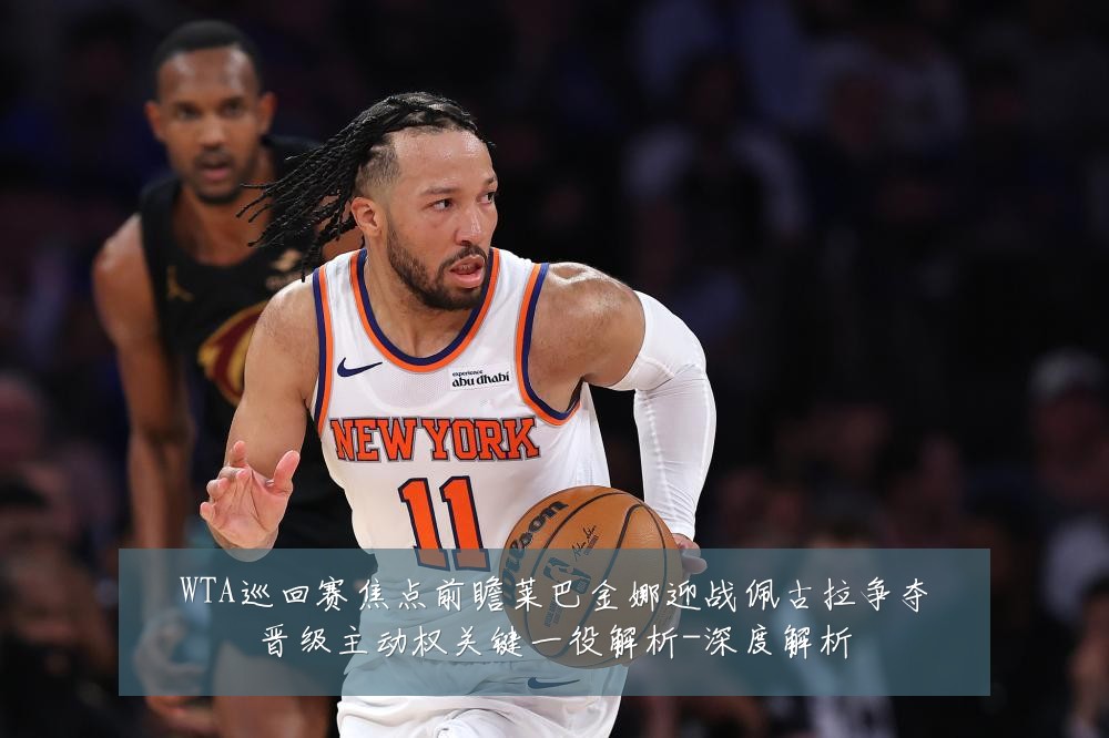 WTA巡回赛焦点前瞻莱巴金娜迎战佩古拉争夺晋级主动权关键一役解析-深度解析