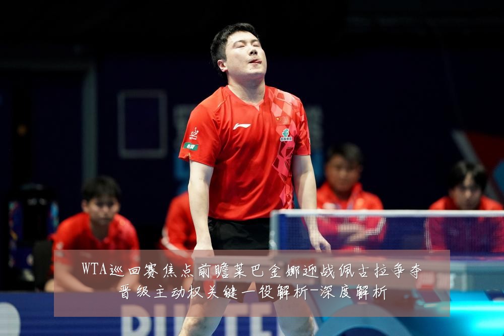 WTA巡回赛焦点前瞻莱巴金娜迎战佩古拉争夺晋级主动权关键一役解析-深度解析